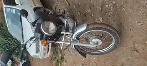 Bajaj Avenger 220 Street 2016 Brown