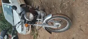 Bajaj Avenger 220 Street 2016 Brown