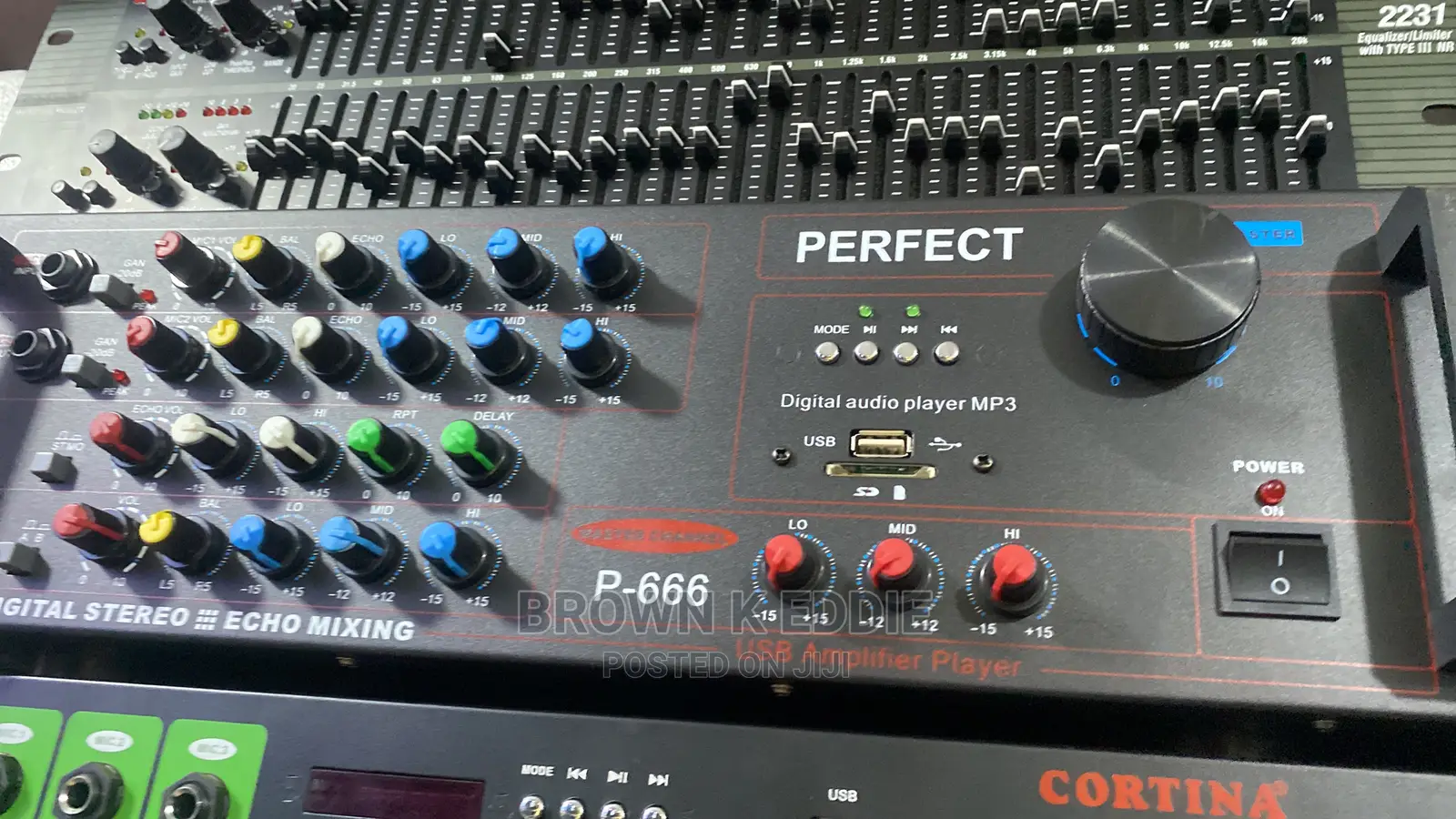 PFT 666 Heavy Duty Amplifier