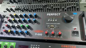 PFT 666 Heavy Duty Amplifier