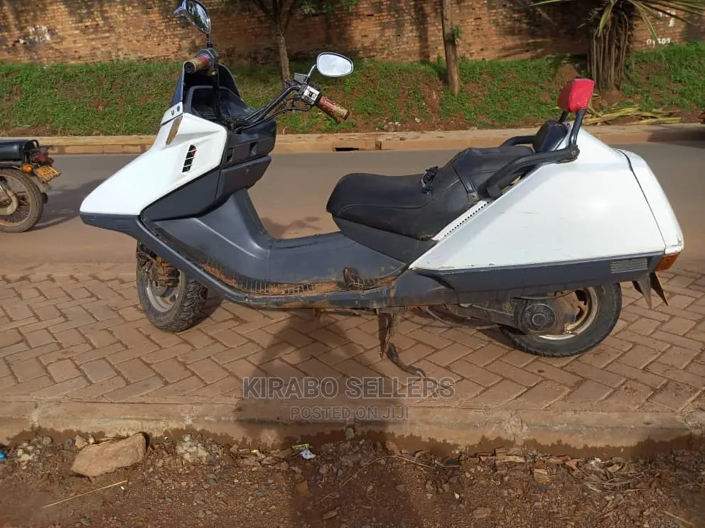 Polaris PZR 2014 White