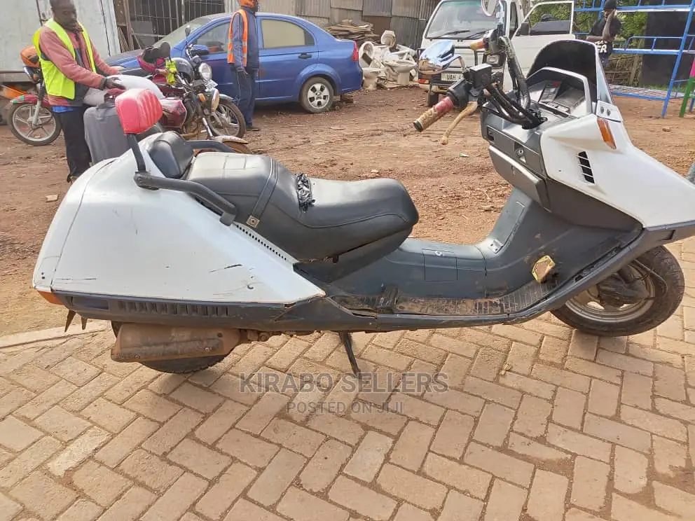 Polaris PZR 2014 White