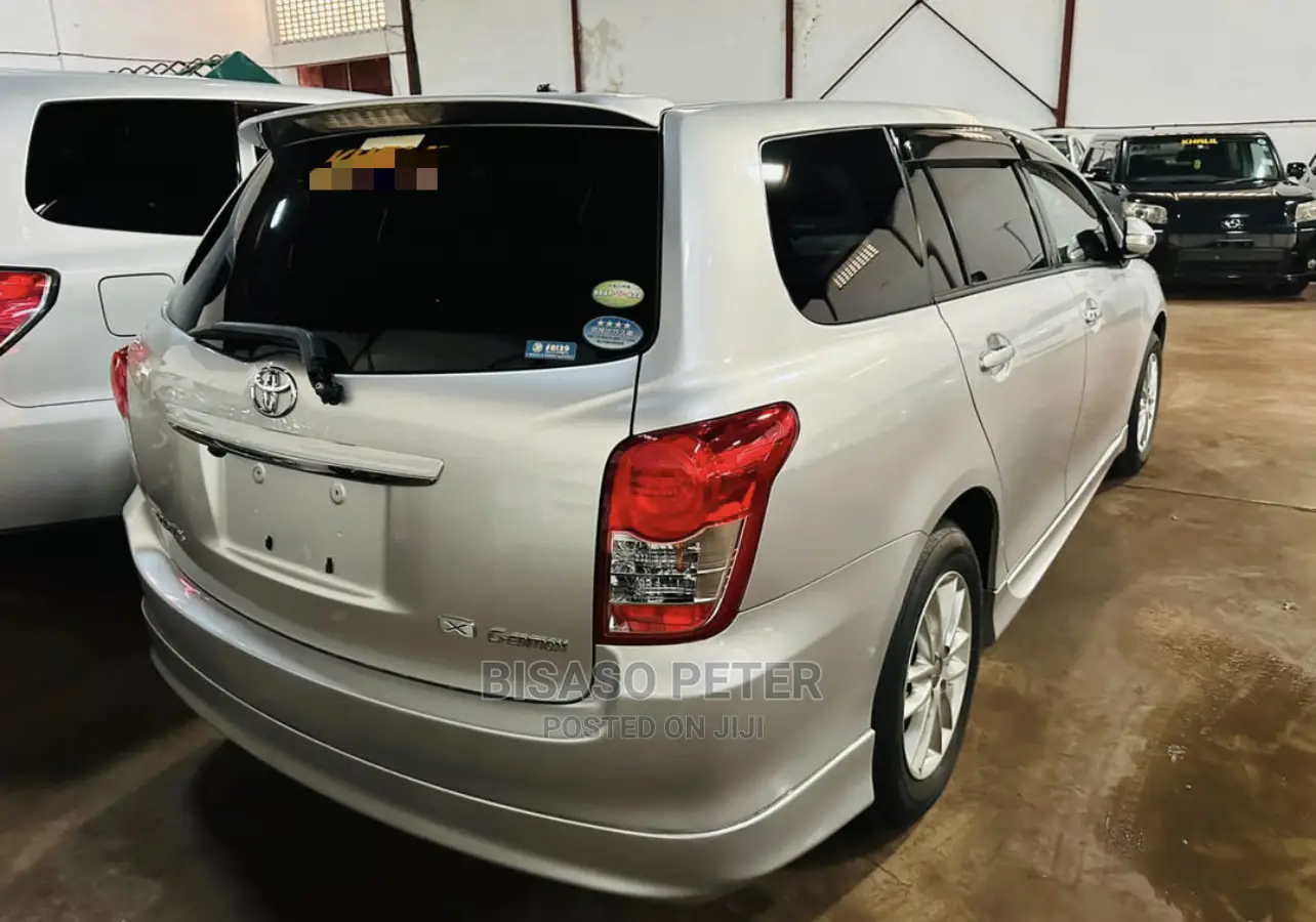 Toyota Corolla Fielder 2009 Silver