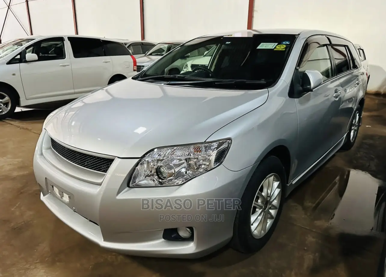 Toyota Corolla Fielder 2009 Silver