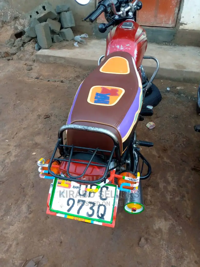 Bajaj Boxer 2022 Green