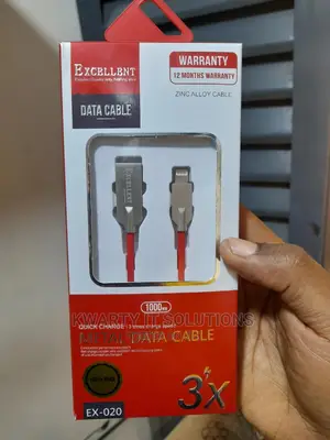 iPhone USB Cable (Original)