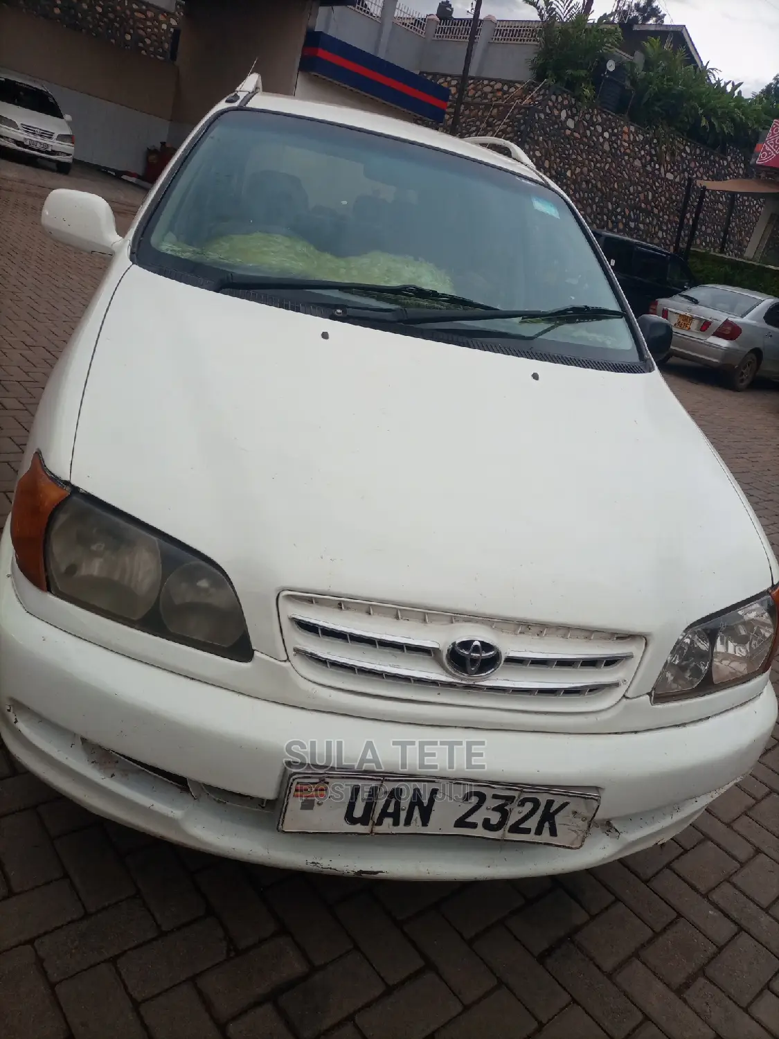 Toyota Ipsum 2001 White