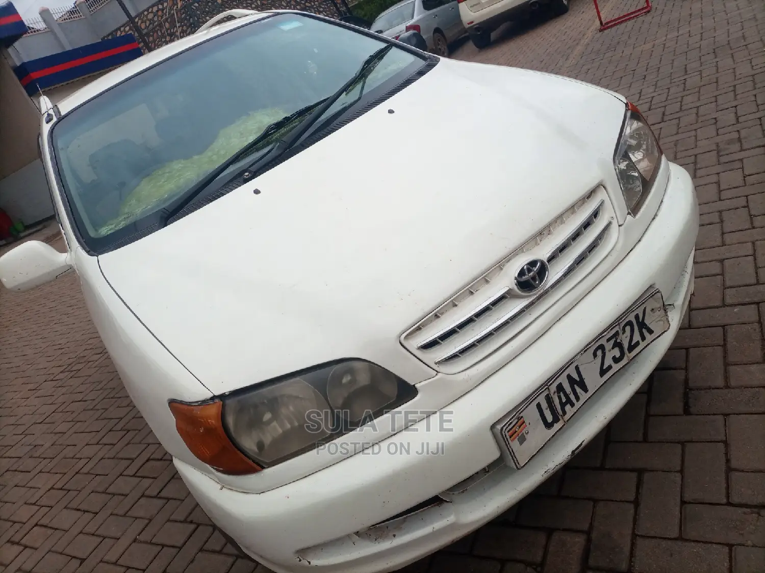 Toyota Ipsum 2001 White