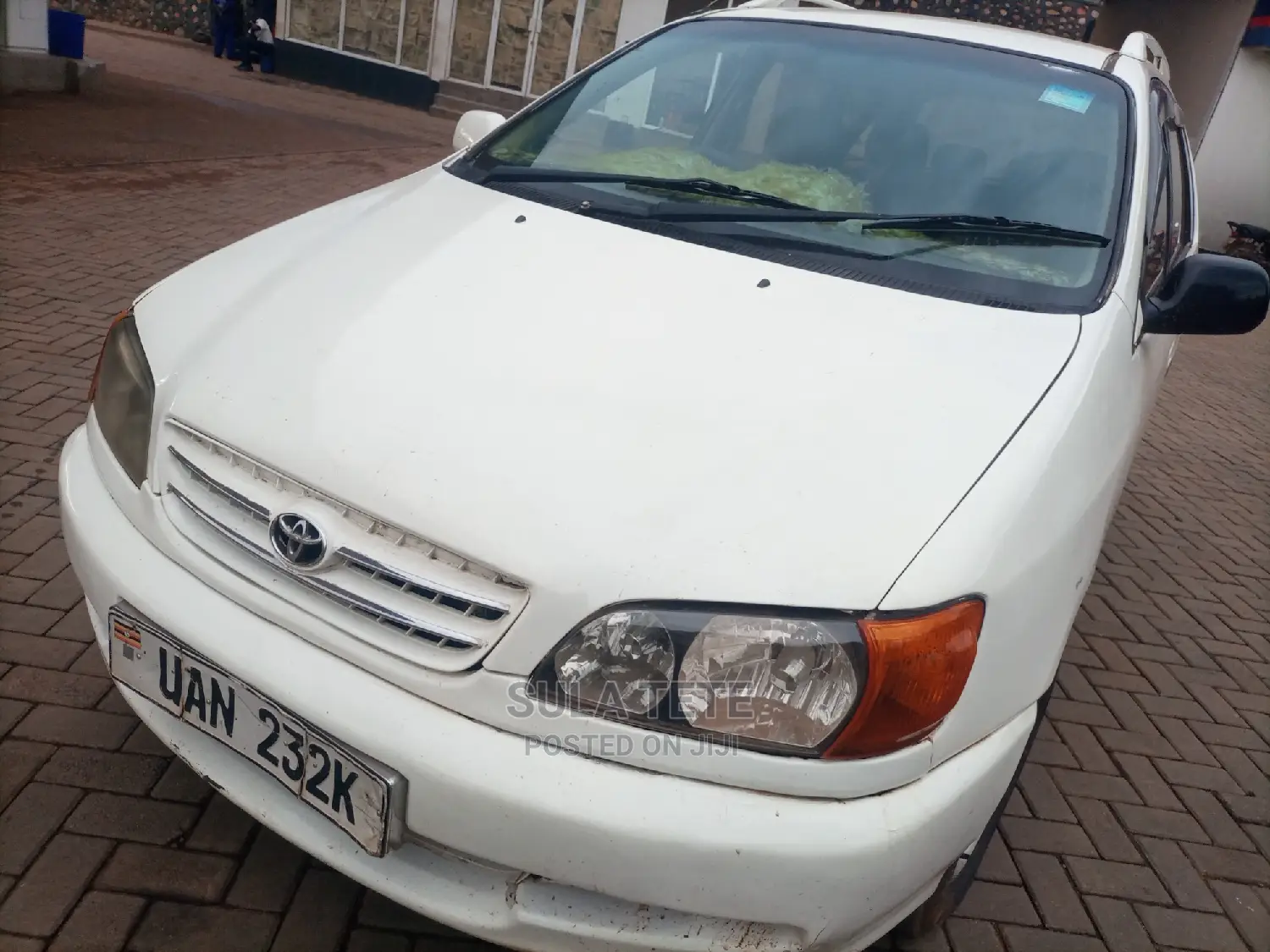 Toyota Ipsum 2001 White