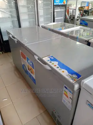ADH Deep Freezer 700L