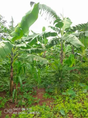 2acres of Land for Sale at Wabutungulu