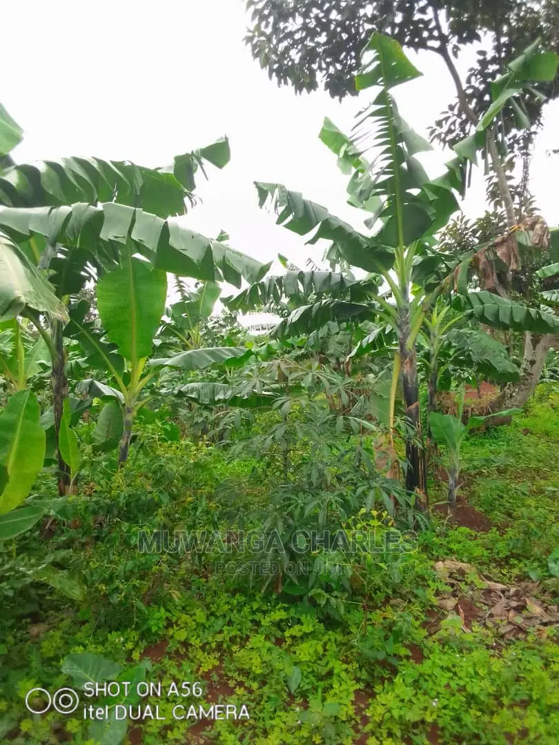 2acres of Land for Sale at Wabutungulu