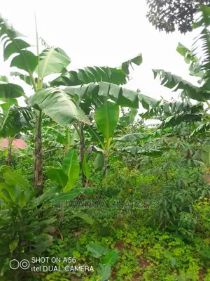 2acres of Land for Sale at Wabutungulu
