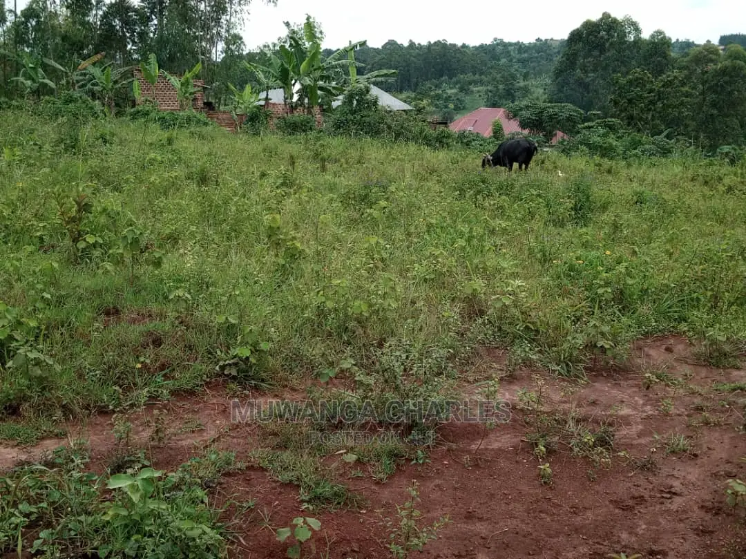 100by50ft Plot for Sale at Kiwend