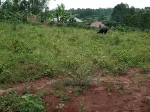 100by50ft Plot for Sale at Kiwend