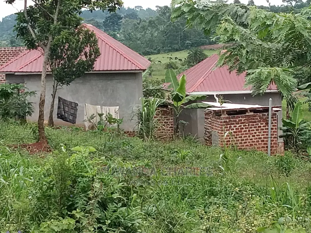 100by50ft Plot for Sale at Kiwend