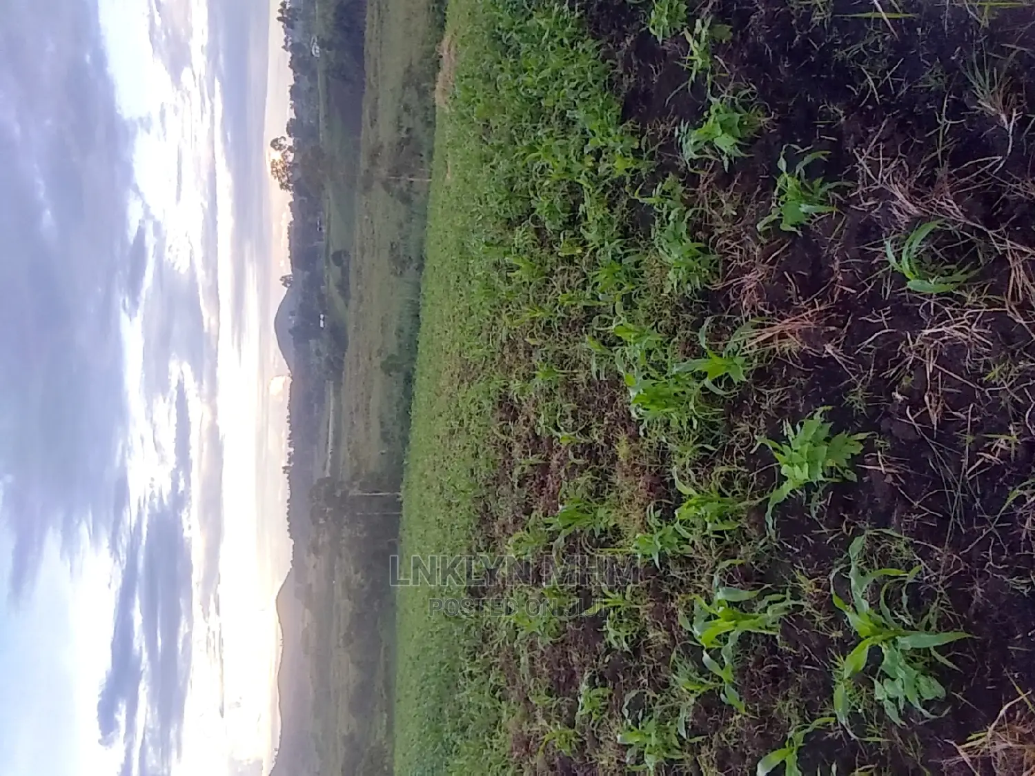 A 62 Hectares of Land for Sell at 34 Millions Per Hectare