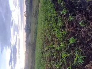 A 62 Hectares of Land for Sell at 34 Millions Per Hectare