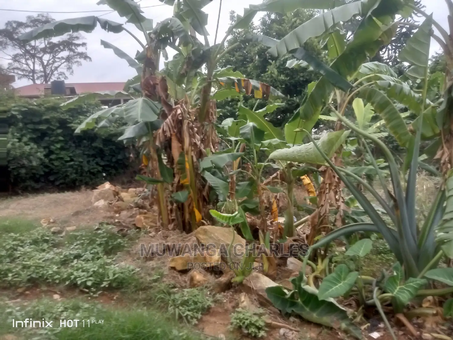 Commercial Plot for Sale at Bukoto