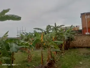 Commercial Plot for Sale at Bukoto