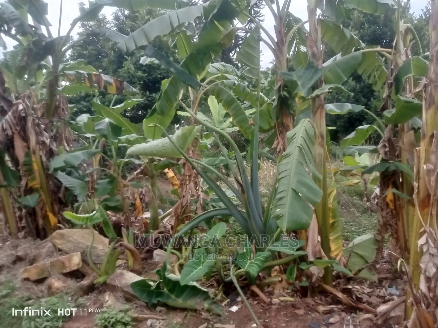 Commercial Plot for Sale at Bukoto