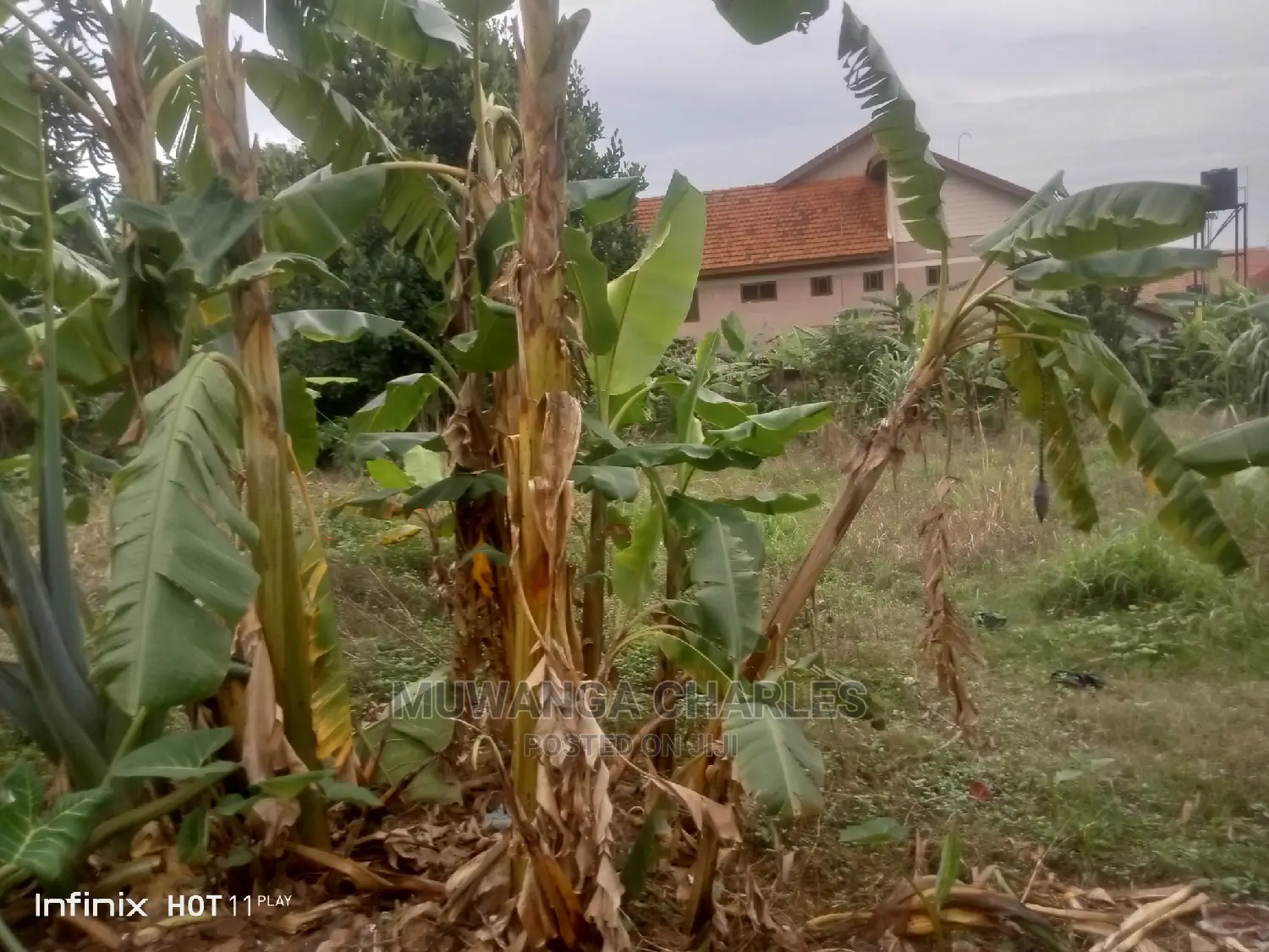Commercial Plot for Sale at Bukoto