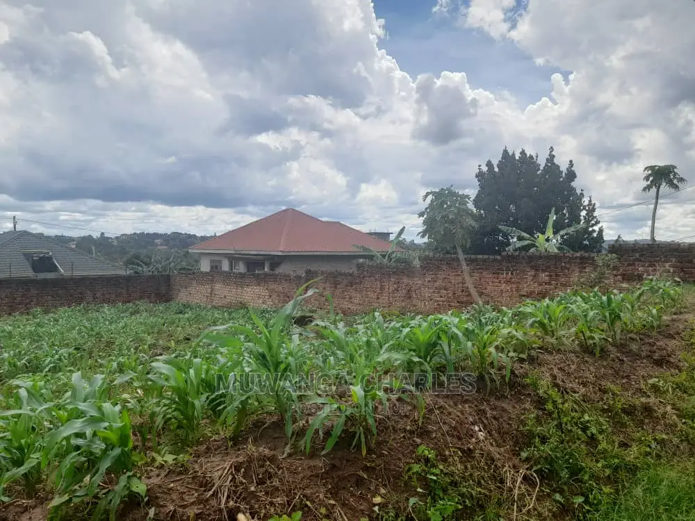 50decimals Plot of Land for Sale at Kungu