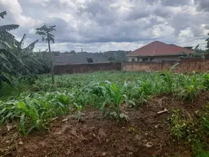 50decimals Plot of Land for Sale at Kungu