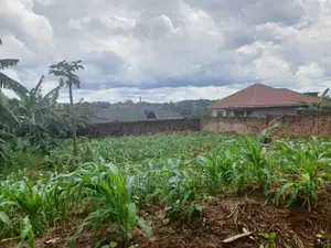 50decimals Plot of Land for Sale at Kungu