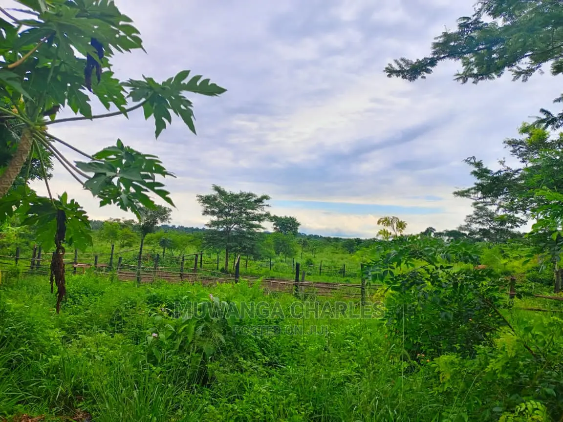 1acre of Land for Sale at Zirobwe