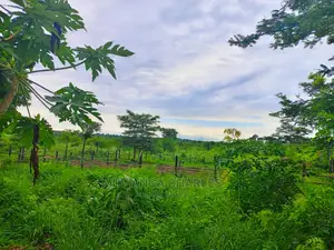 1acre of Land for Sale at Zirobwe