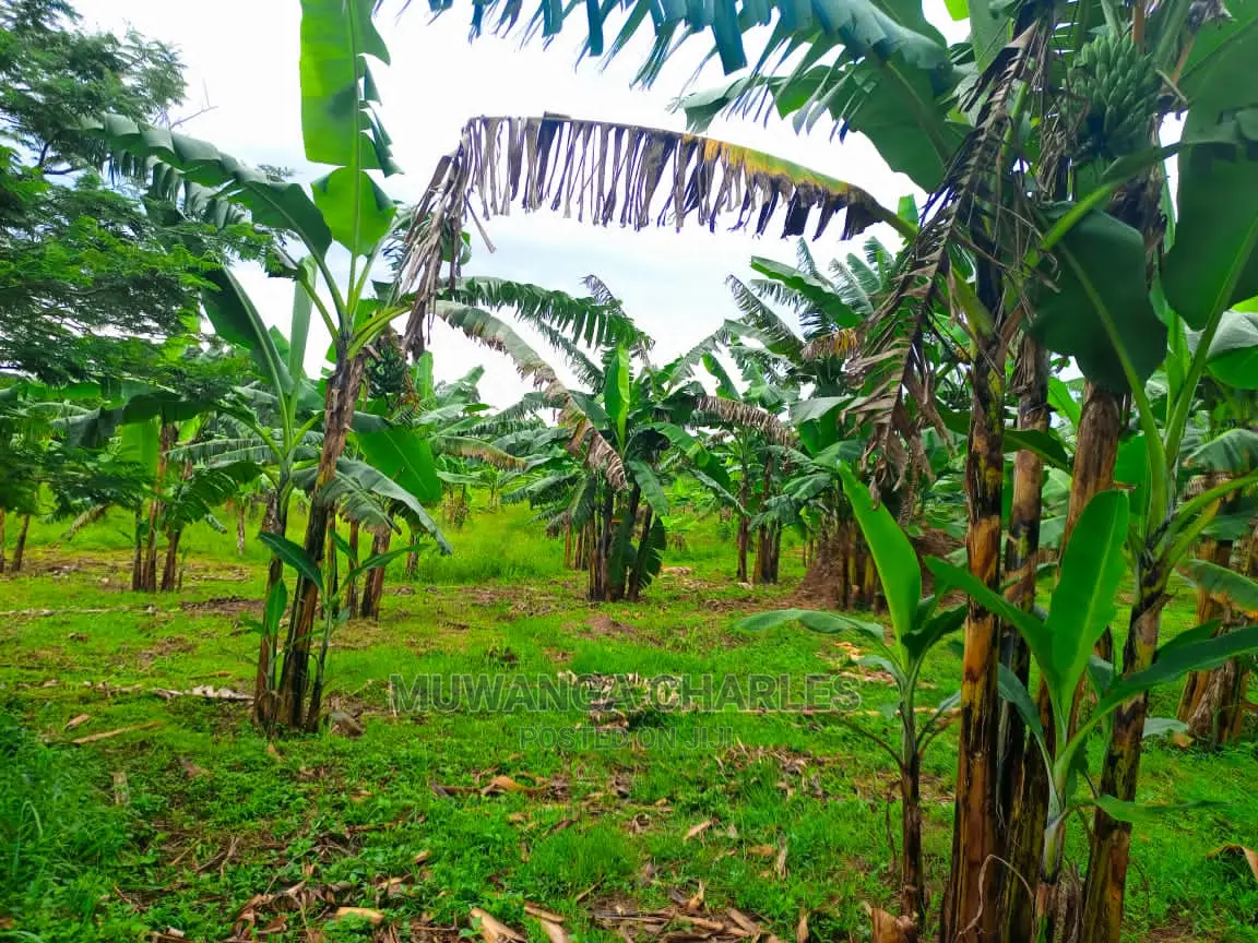 1acre of Land for Sale at Zirobwe
