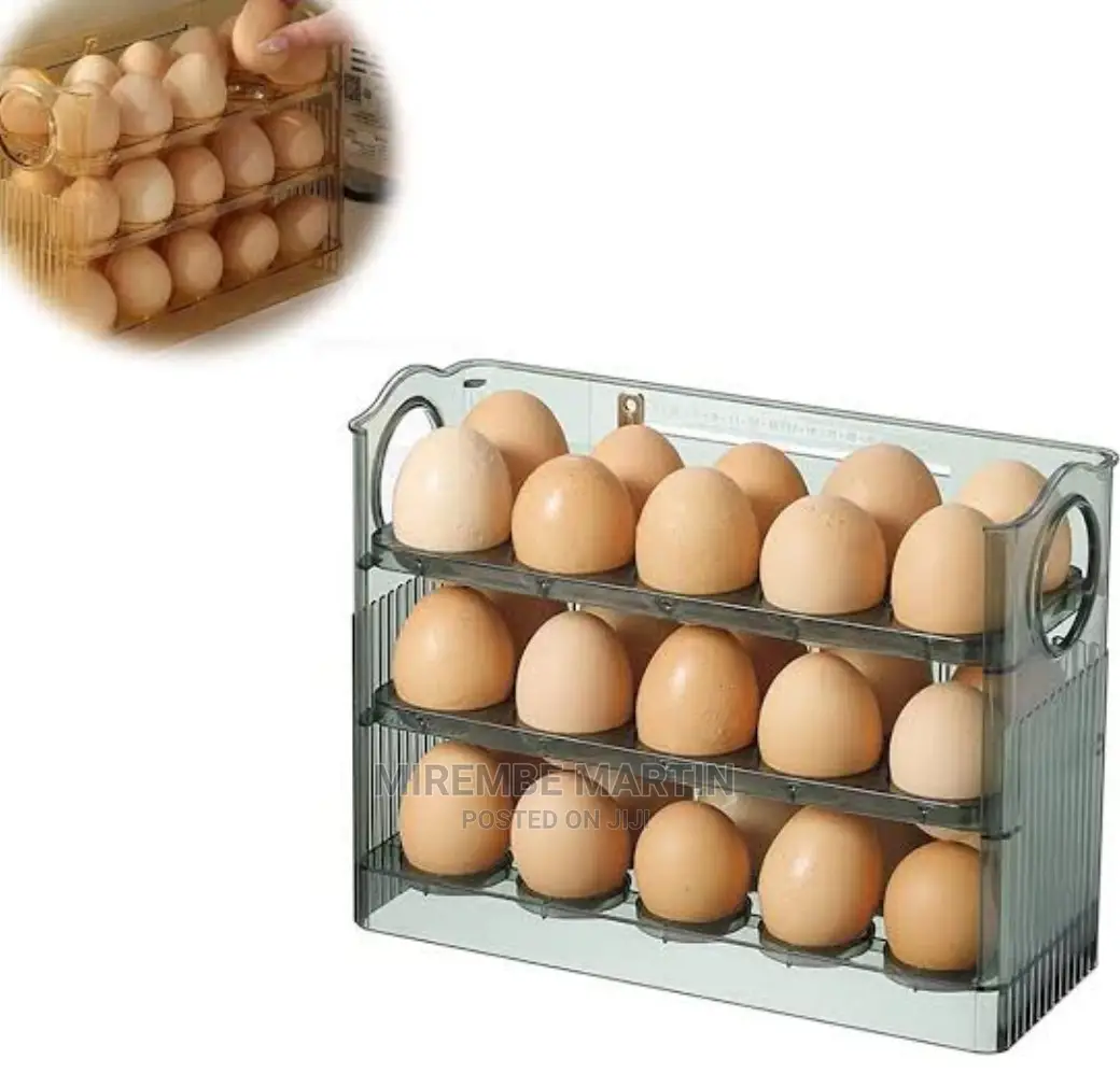 Egg Storage Box