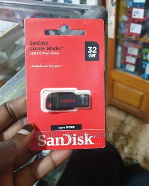 Palstic 32gb Flash