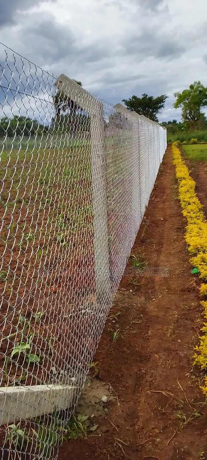 Chain Link Fence