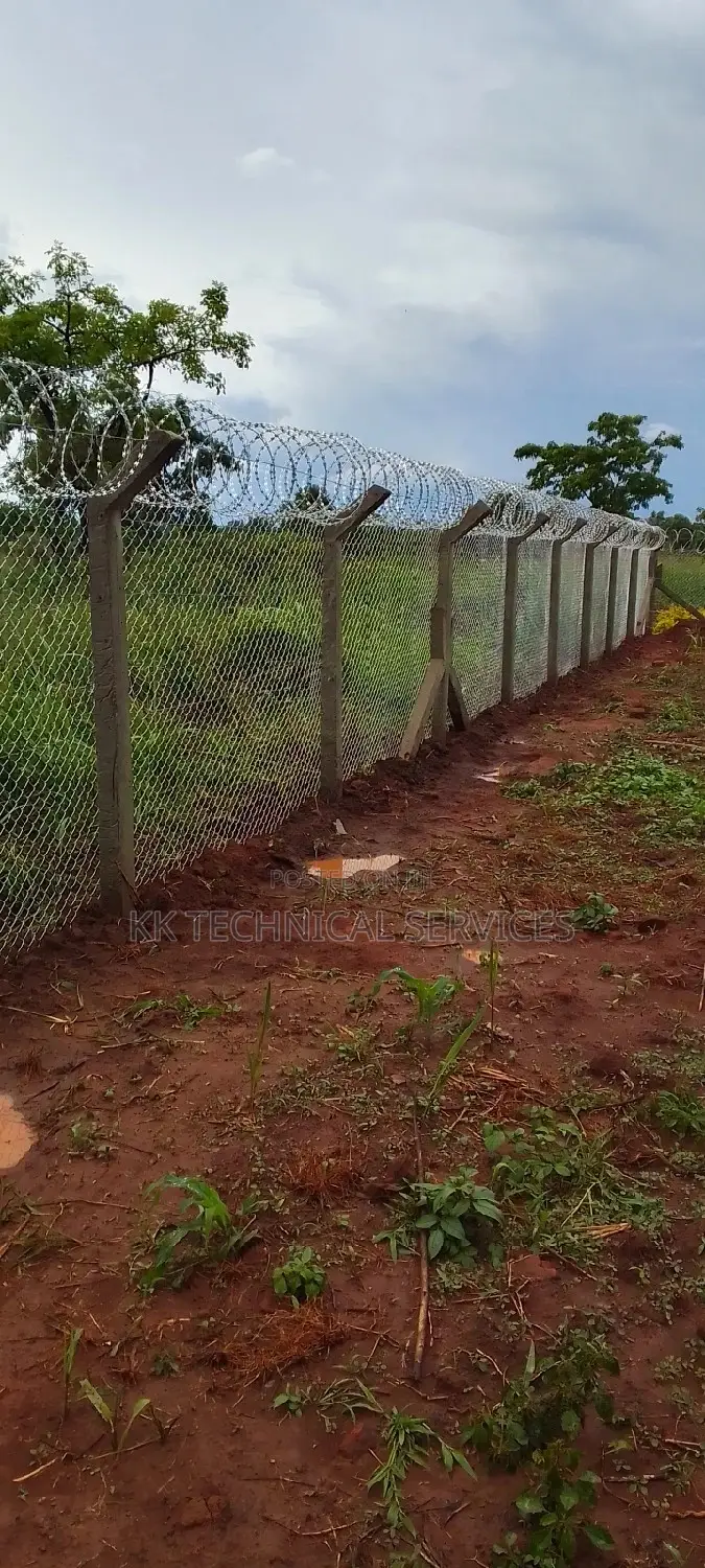 Chain Link Fence