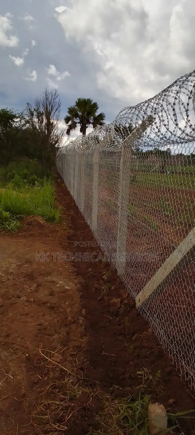 Chain Link Fence