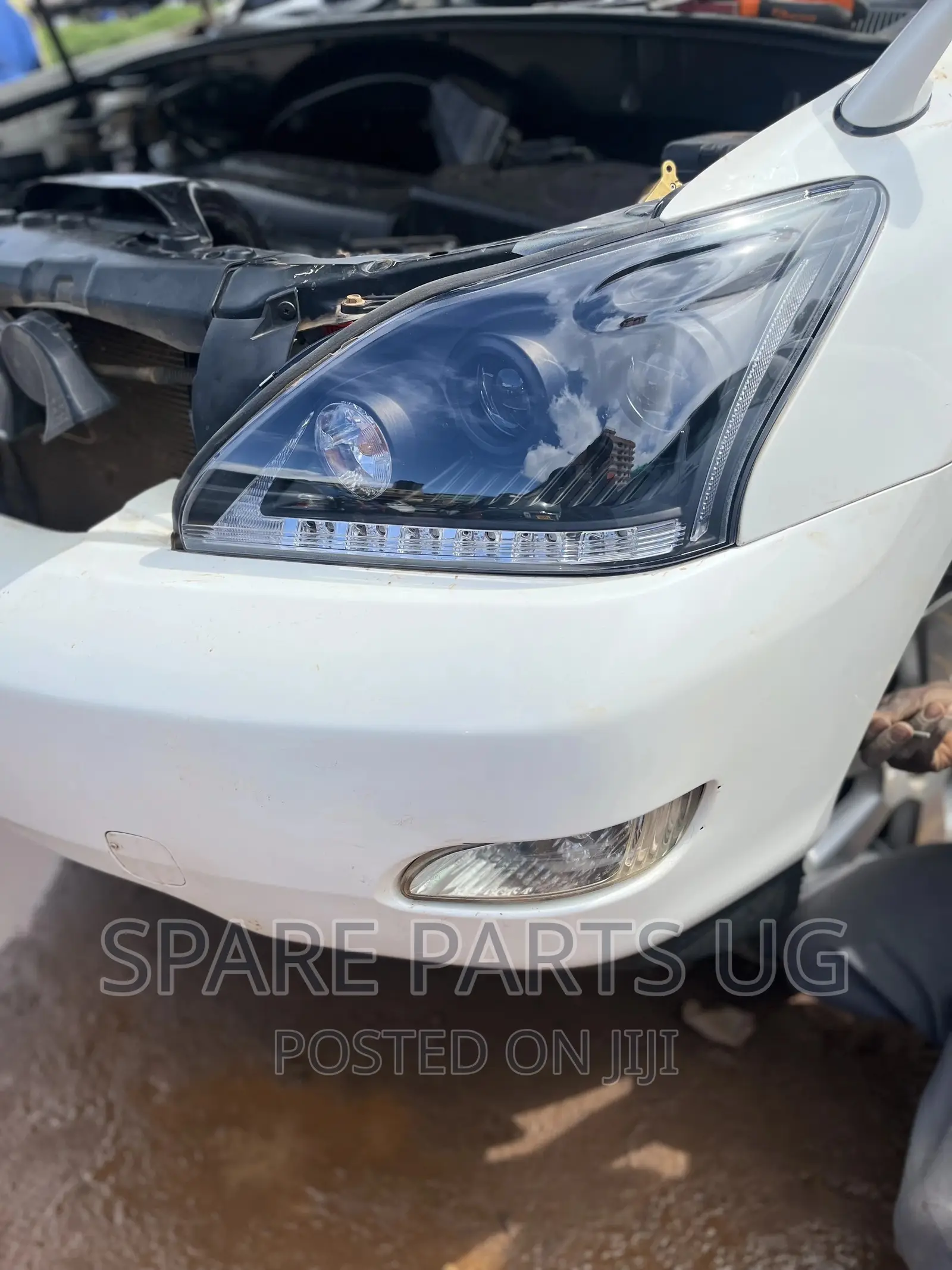 Harrier Kawundo Black Edition Eagles Eye Headlights