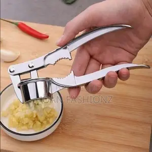 Stainless Steel Garlic Press-silver