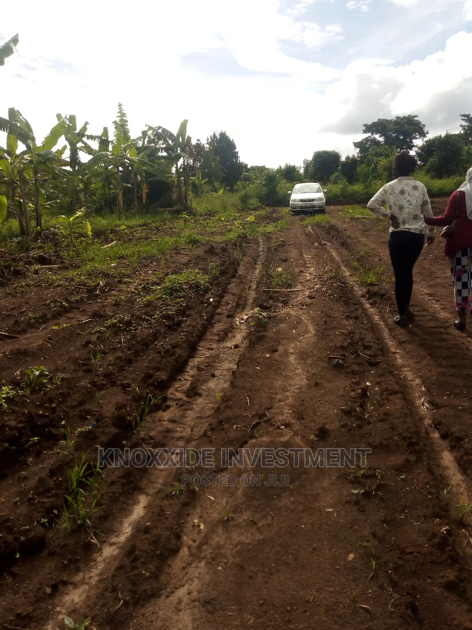 Land for Sale 7acres Kanyogoga Busuju Hoima Road