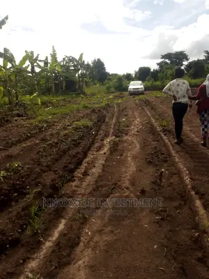 Land for Sale 7acres Kanyogoga Busuju Hoima Road