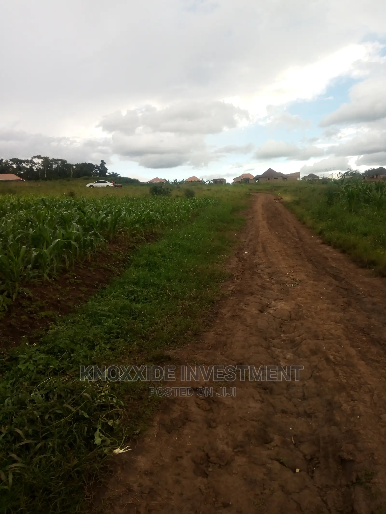 Land for Sale 7acres Kanyogoga Busuju Hoima Road