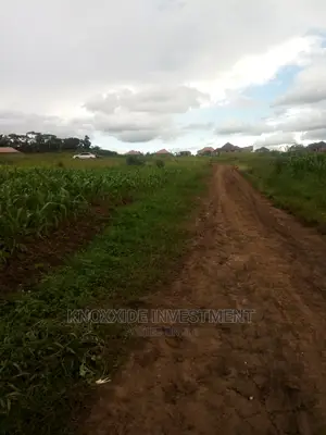 Land for Sale 7acres Kanyogoga Busuju Hoima Road