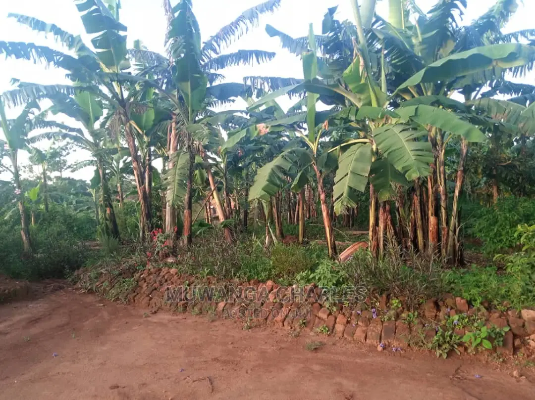 12decimals of Land for Sale at Gayaza Nakwero