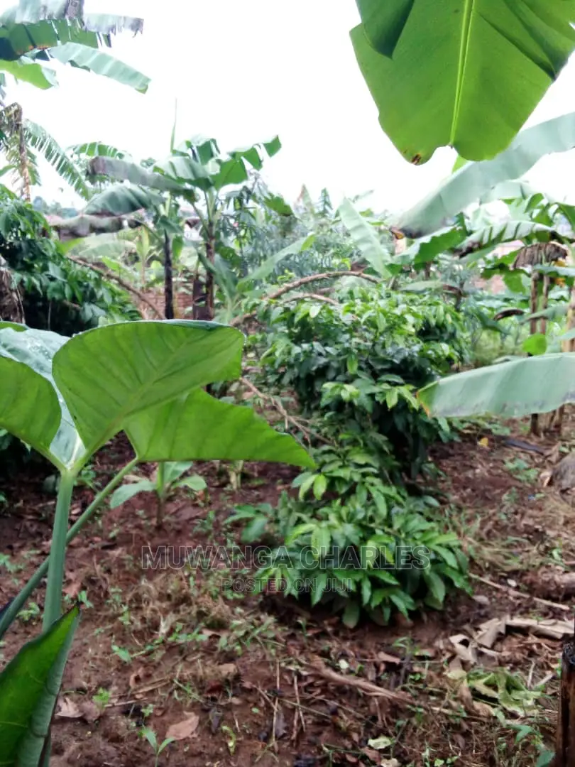 2acres of Land Available for Sale at Kikyusa