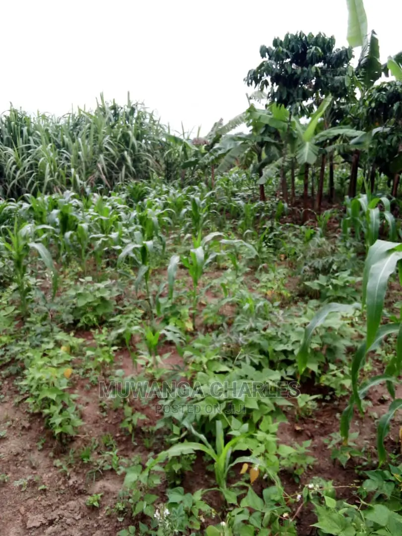 2acres of Land Available for Sale at Kikyusa