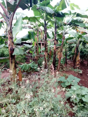 2acres of Land Available for Sale at Kikyusa
