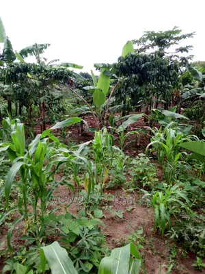 2acrs of Land Available for Sale at Busika