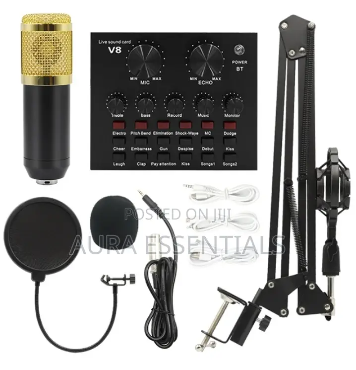 BM 800 Condenser Studio Microphone With V8s Soundcard Set