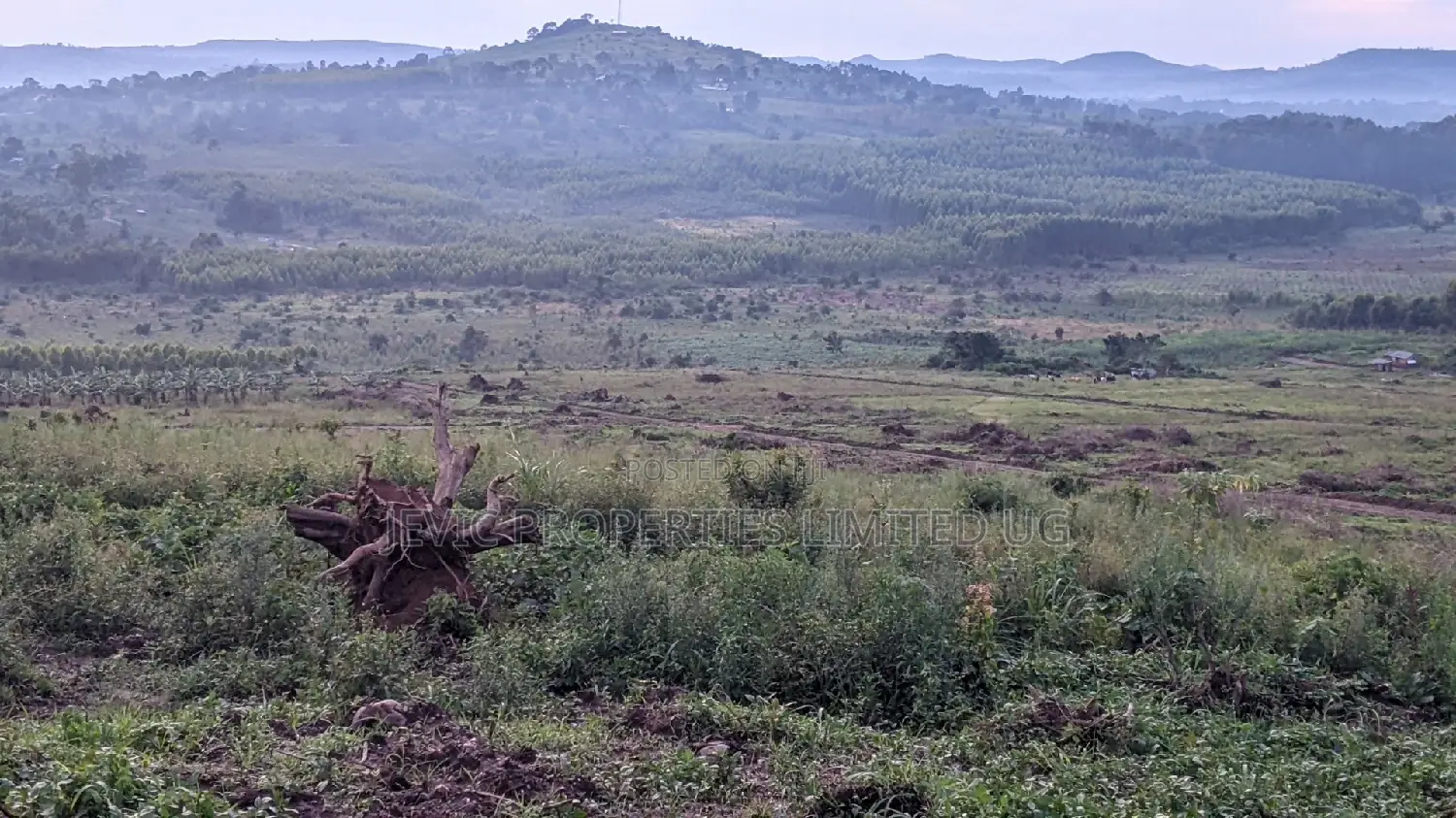 Kakiri -Titled Nsimba Estate Along Hoima Road